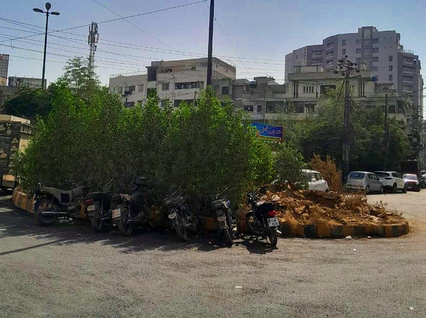 Greenery taking over a city roundabout